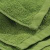 Chi tiết 3 khăn body spa TTSPAKBD62 màu xanh lá cây nhạt