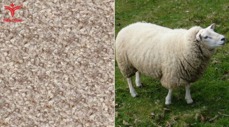 Các loại vải len từ lông động vật có độ ấm áp và mềm mại khi sử dụng