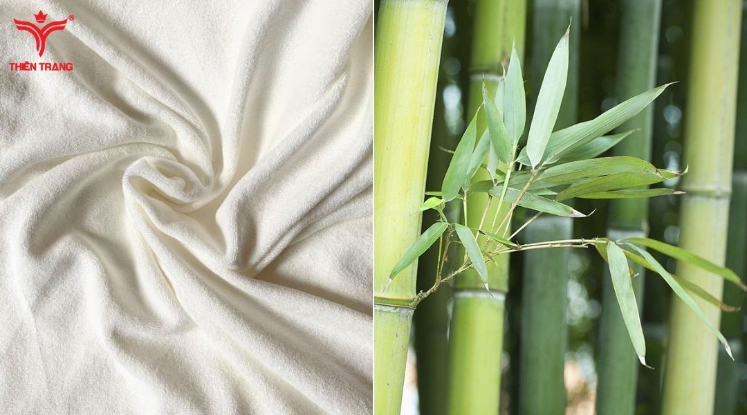 Nguồn gốc của vải bamboo sợi tre được bắt nguồn từ Trung Quốc