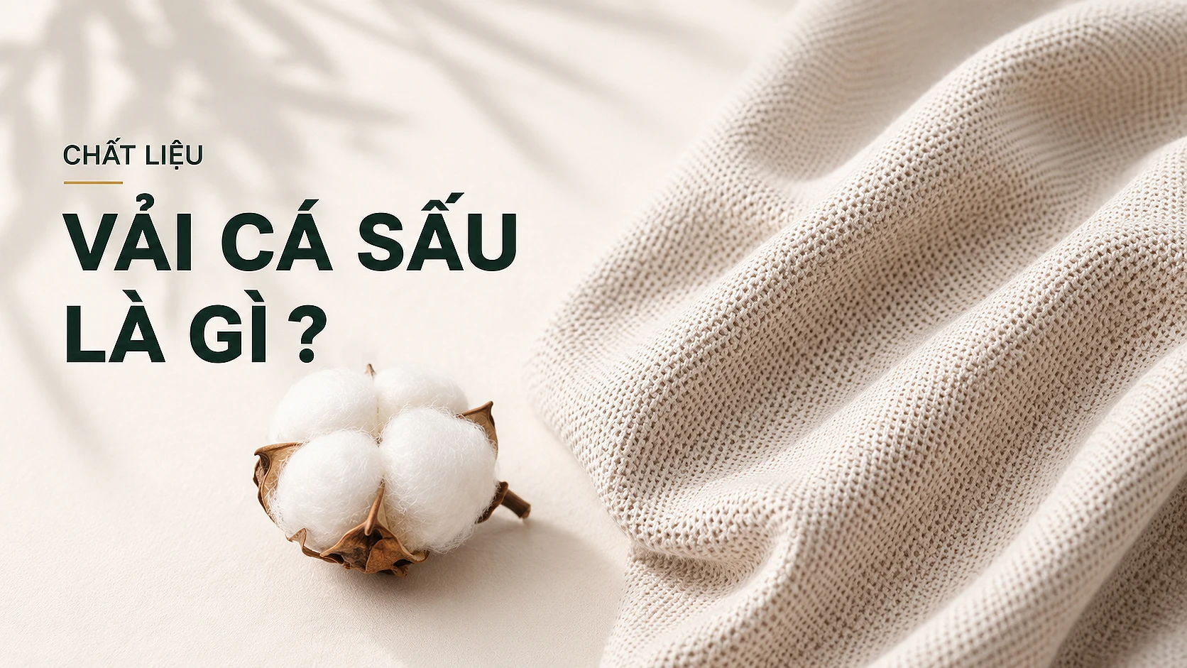 Chat lieu vai cotton 1 1