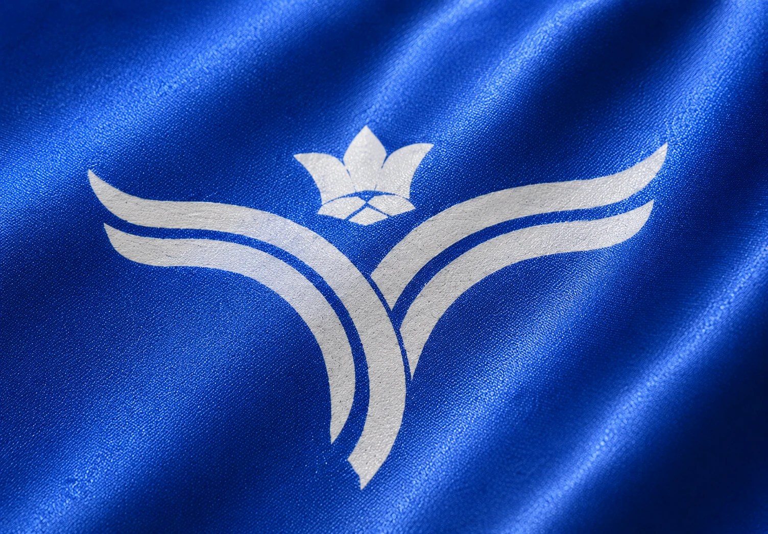 In Lụa (In Silk Screen)
