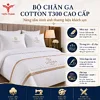 Bộ chăn ga Cotton T300 cao cấp nâng tầm thương hiệu 5 chan ga 3