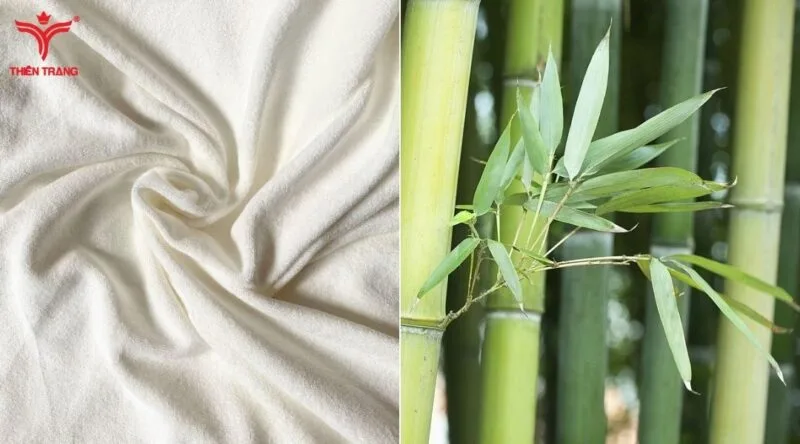 Vải Bamboo Là Gì? Đặc Tính, Ưu Nhược Điểm Và Ứng Dụng 3 Nguồn gốc của vải bamboo sợi tre được bắt nguồn từ Trung Quốc